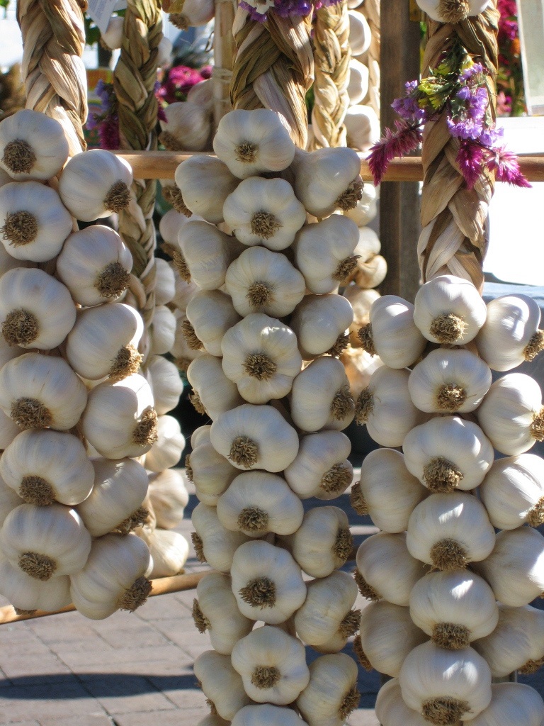 ajo -- a braided hand of garlic